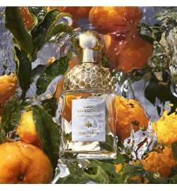 Aqua Allegoria Mandarine Basil - Eau de Toilette Aqua Allegoria Mandarine Basil - Eau de Toilette